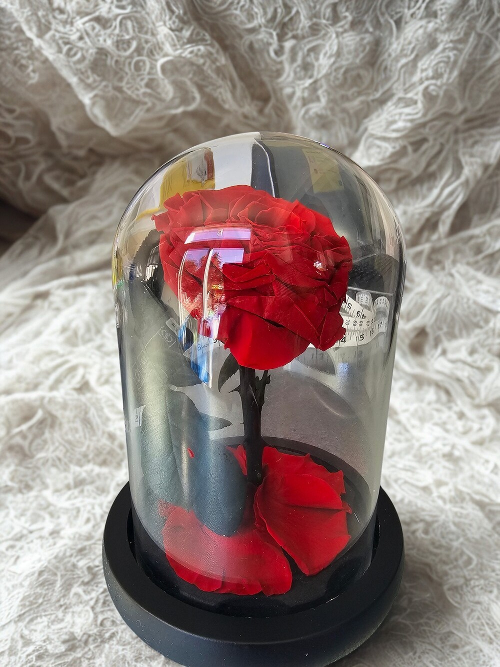 Preserved Red Rose in Glass Dome Cloche Display Beauty & The Beast Decor